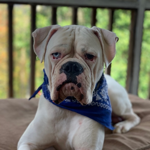 Meet your Posher, Jennifer - Picture 1 of 1